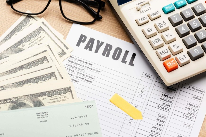 Payroll Software Systems: The Ultimate Guide to Streamlining Payroll Processes