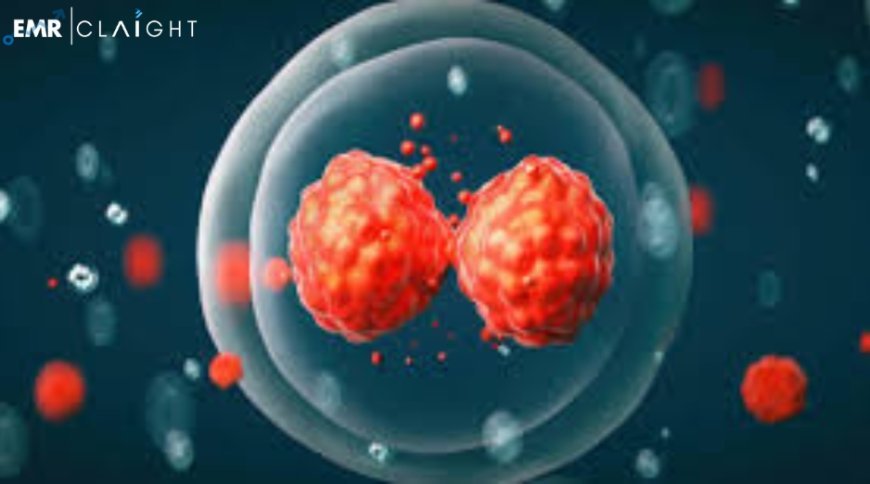 Global Stem Cell Assay Market Size, Share, Growth, Key Players, Trends, & Future Outlook | 2024 - 2032