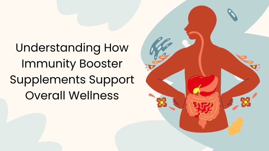 Understanding How Immunity Booster Supplements Support Overall Wellness