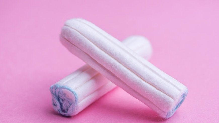 Plant-Based Plastic Applicators for Tampons Manufacturing Cost Report 2025: Setup Details, Business Plan and Raw Material Requirements