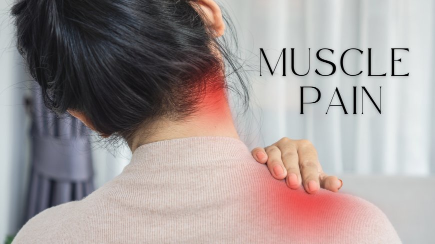 Prosoma 500: An Effective Solution for Muscle Spasms and Skeletal Pain