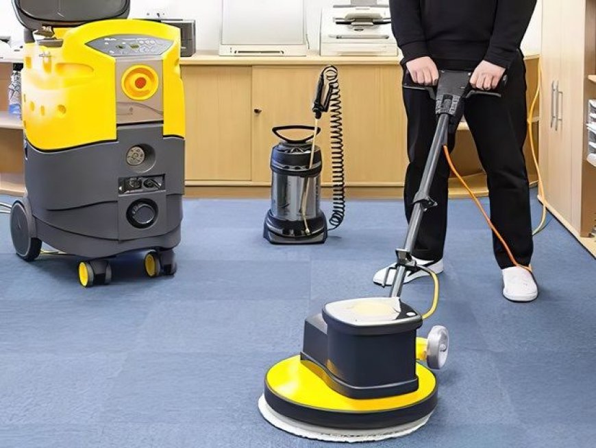 Expert Carpet Cleaning Windsor | Stain & Odor Removal