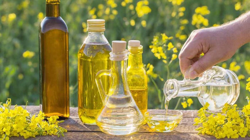 The Secret to Healthy Cooking: Why Canola Oil is a Game-Changer