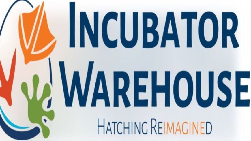 How a Commercial Egg Incubator Saves Time and Money