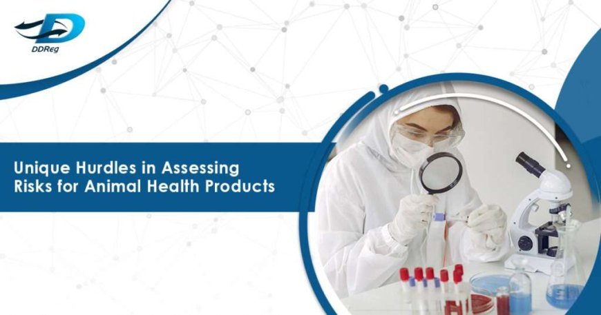 Navigating the Complexities of Risk Assessment in Veterinary Pharmaceuticals