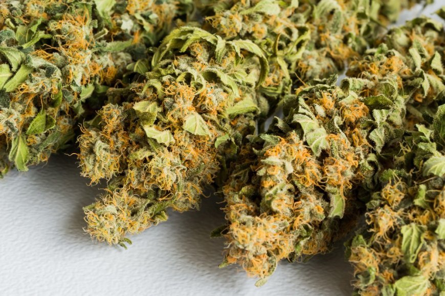 Which Cannabis Strains Help Enhance Energy and Focus?