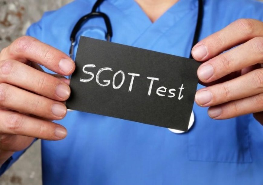 SGOT Test Price: A Detailed Guide to Cost, Benefits, and Medical Relevance
