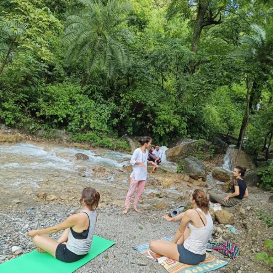 Yoga Studio in Canada: Your Destination for Relaxation and Growth