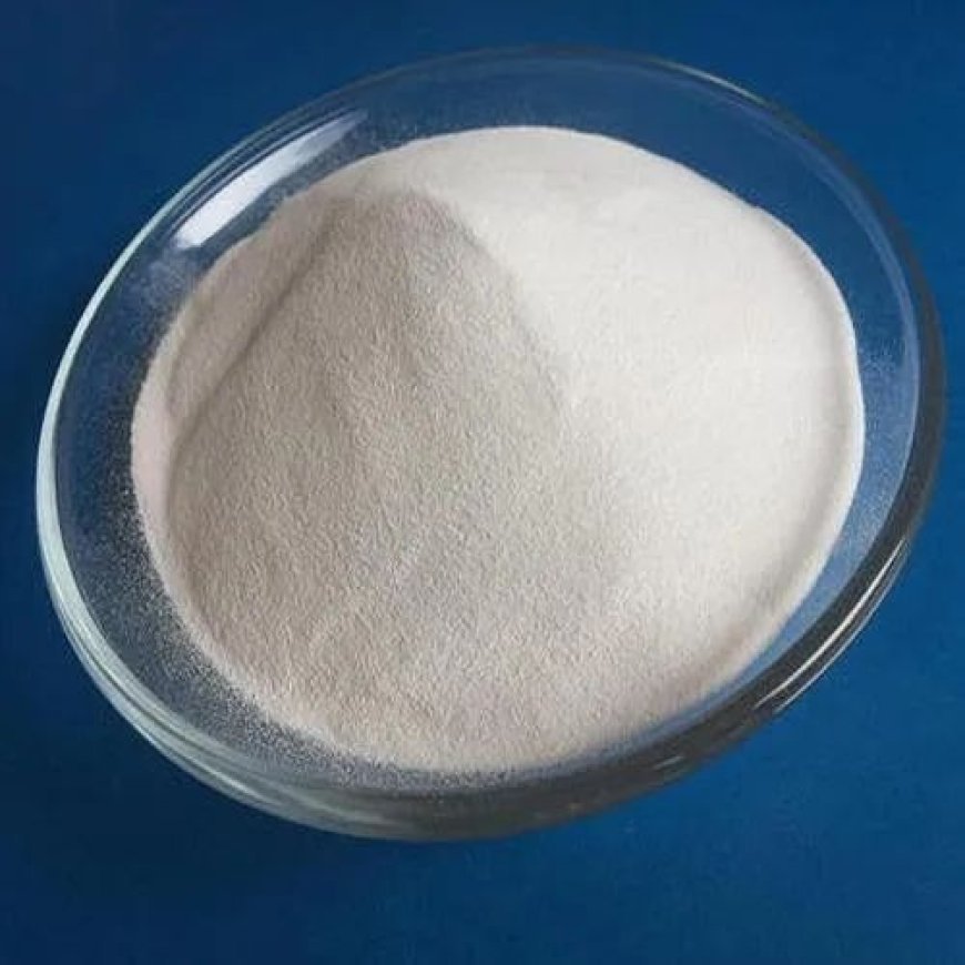 Initial Cost to Polyvinylidene Chloride (PVDC) Manufacturing Plant Business