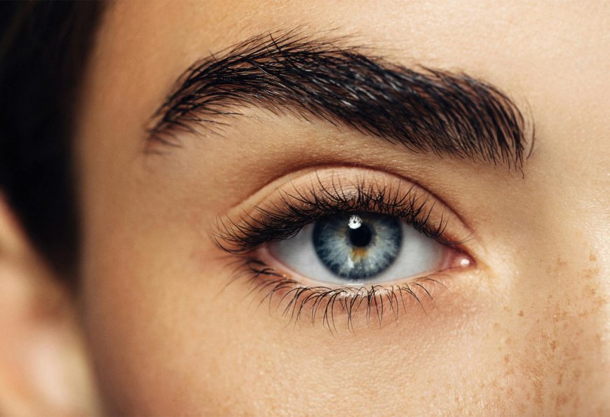 What to Expect During Your Eyelash Transplant Procedure