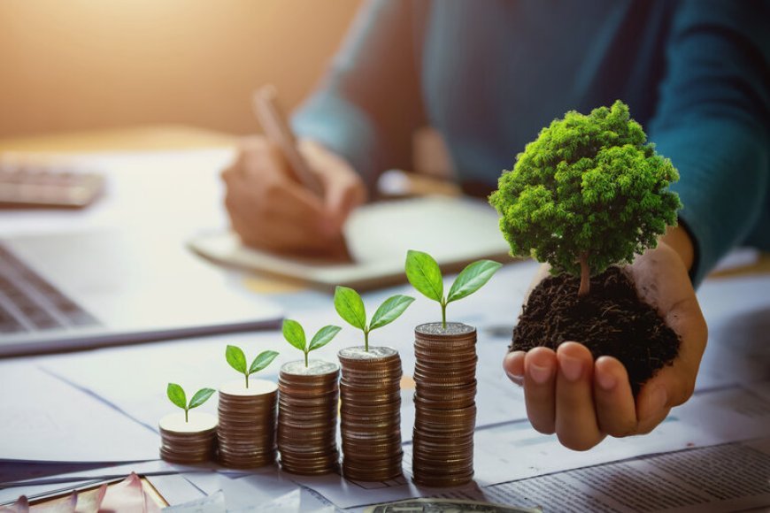 Lisbon Accountant: Make Your Money Work with Bismon