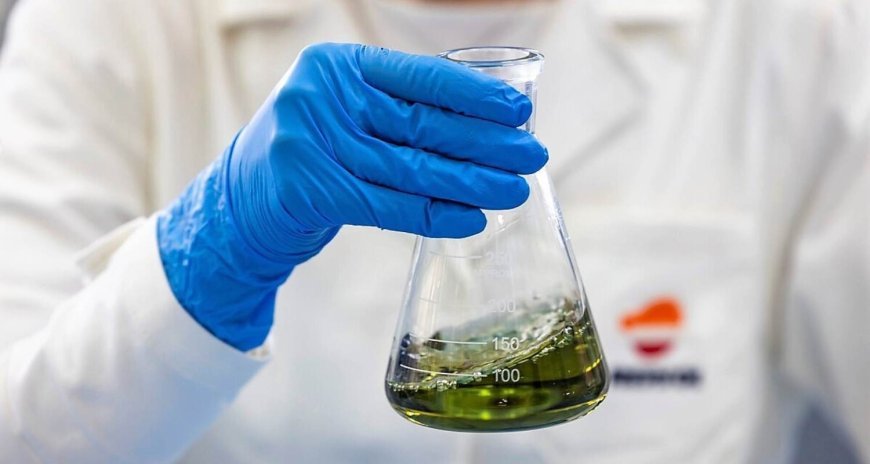 Detailed Project Report On Biodiesel Manufacturing Plant (Investment Opportunities, Cost and Revenue)