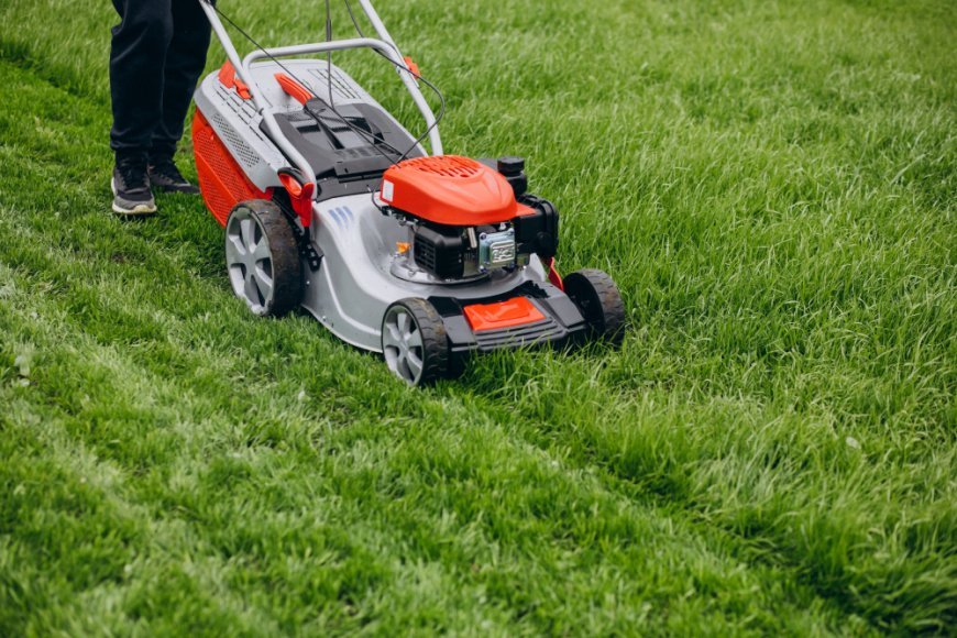 How to Create the Perfect Lawn from Scratch?