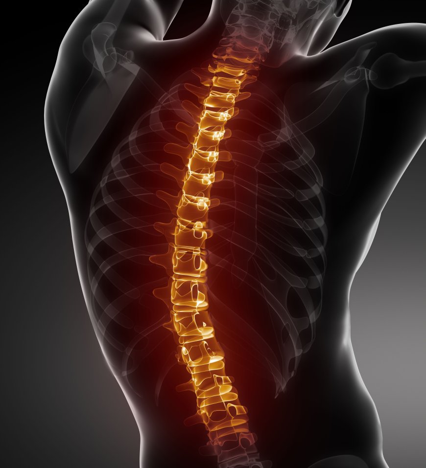 Latest Medical Breakthroughs in Spinal Cord Injury Treatment