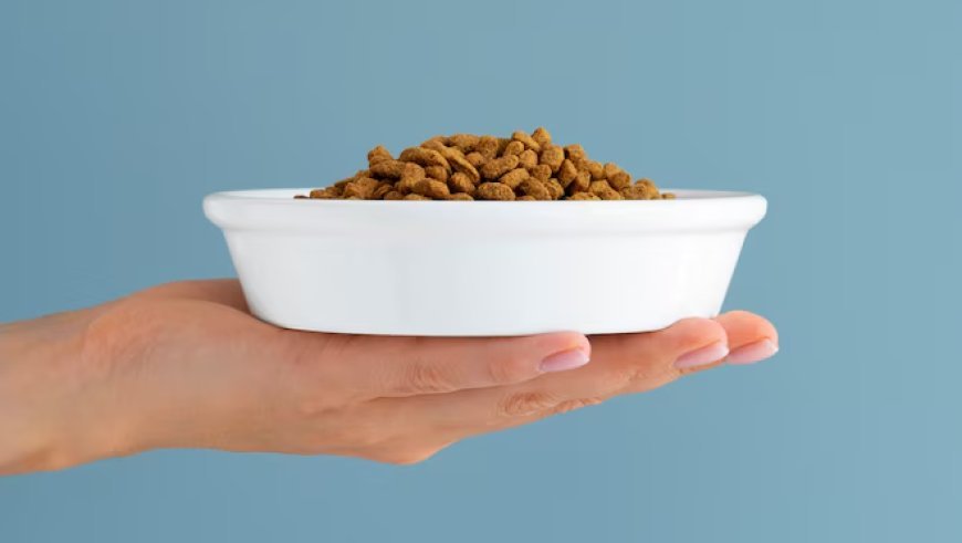 Why Lucy Dog Food Is Gaining Popularity in the USA: A Comprehensive Guide