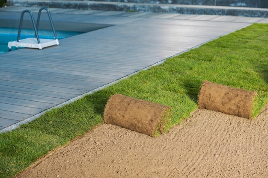 What Are the Benefits of Installing Sod?