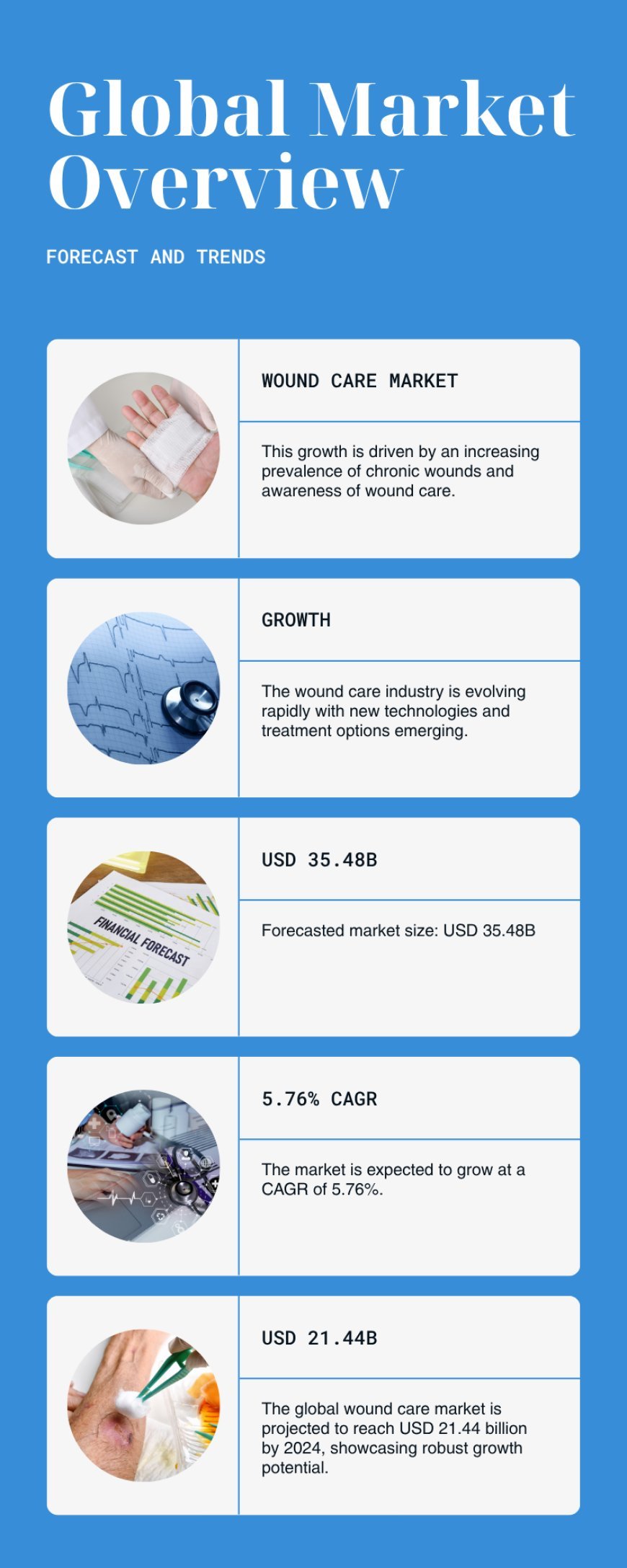 Wound Care Market Forecast and Competitive Strategies 2025-2033