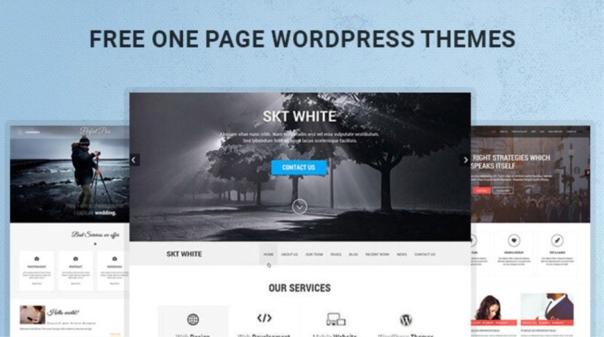 Top Free Single Page WordPress Theme for Clean and Modern Websites
