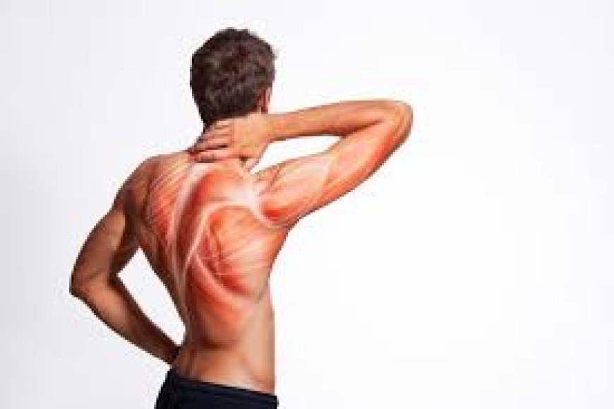 Can You Take Pain O Soma 500 mg on an Empty Stomach?