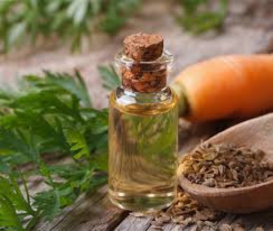 Top CO2 Extracts Oils Suppliers in India for Bulk Supply