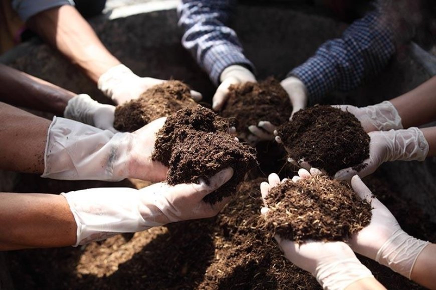 Step-by-Step Guide to Setting Up an Organic Fertilizer Manufacturing Plant