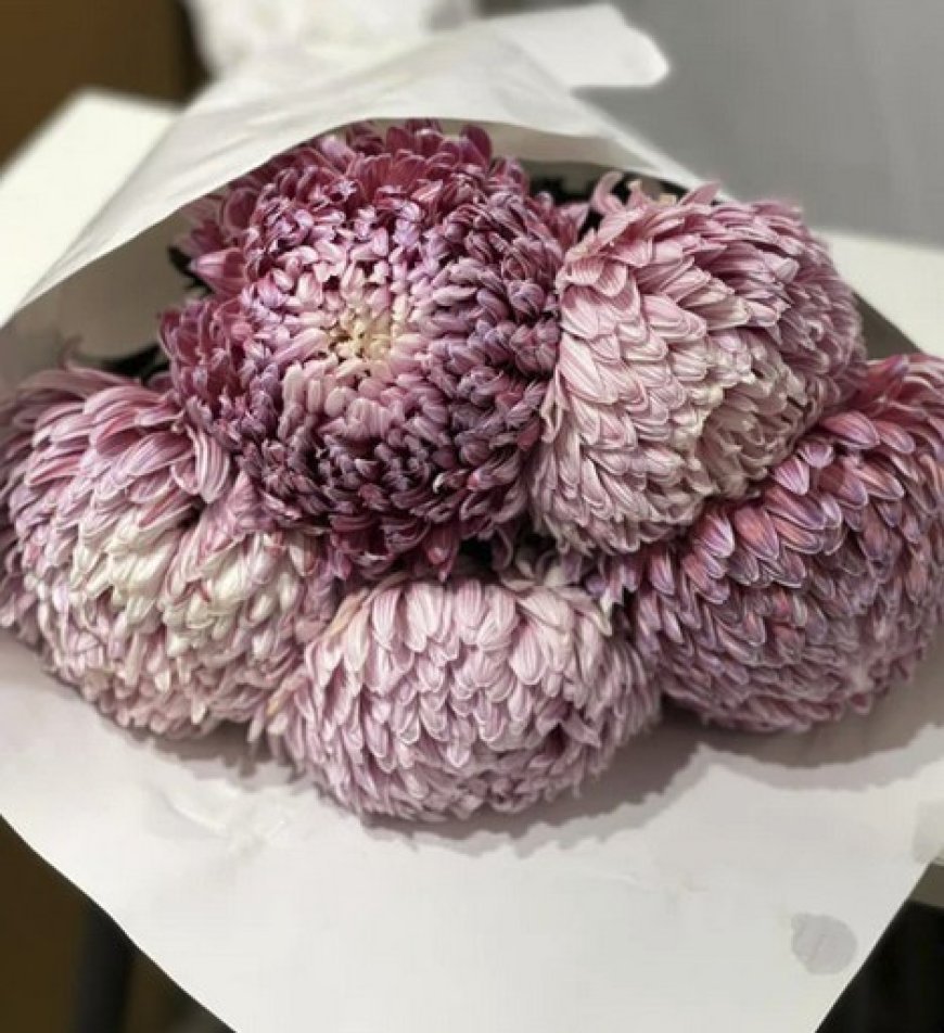 Top Reasons to Choose Seasonal Flowers for Every Occasion