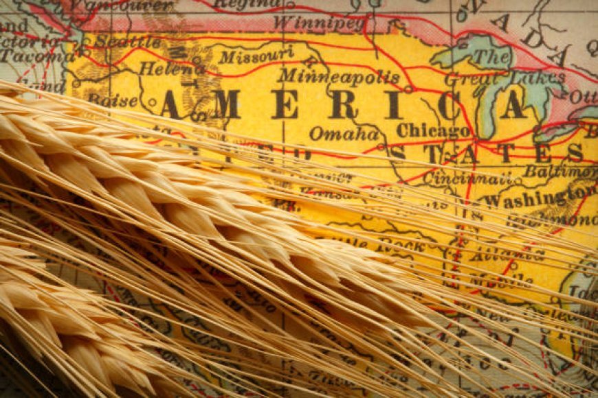 Detailed Crop Production Map: Visualizing Agricultural Patterns