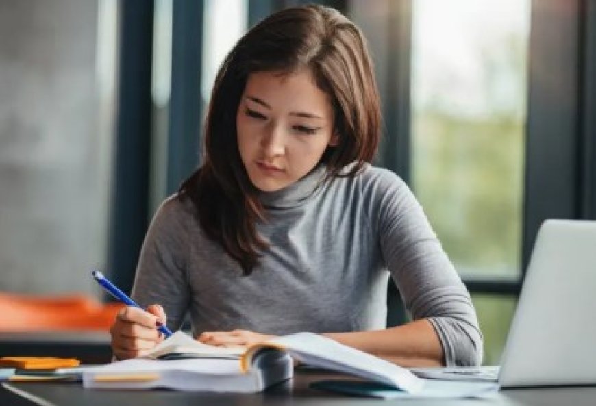 Essay Assignment Help Online – Fast, Affordable & Plagiarism-Free