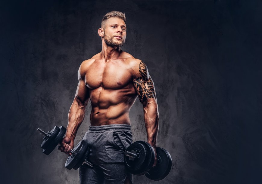 Discover the Best Gym in Richards Town, Bangalore for Real Transformation