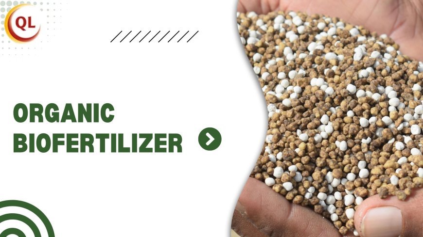 Top Advantages of QL Farms’ Organic Biofertilizer