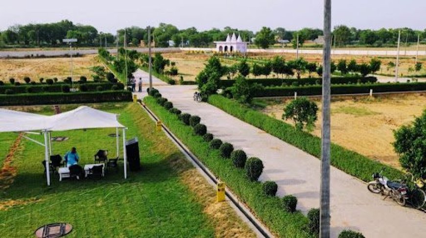 Why Are These Plots Near Jewar Airport So Cheap? What’s the Catch?