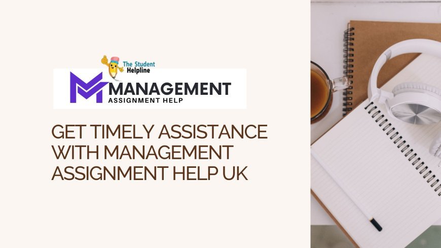 Get Timely Assistance with Management Assignment Help UK