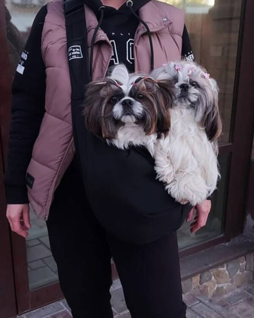 The Ultimate Guide to Choosing the Best Puppy Backpack for Your Adventures