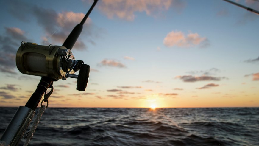 Top Budget Picks: KP Reels for Sale to Pair with Your Shimano 150XG Setup