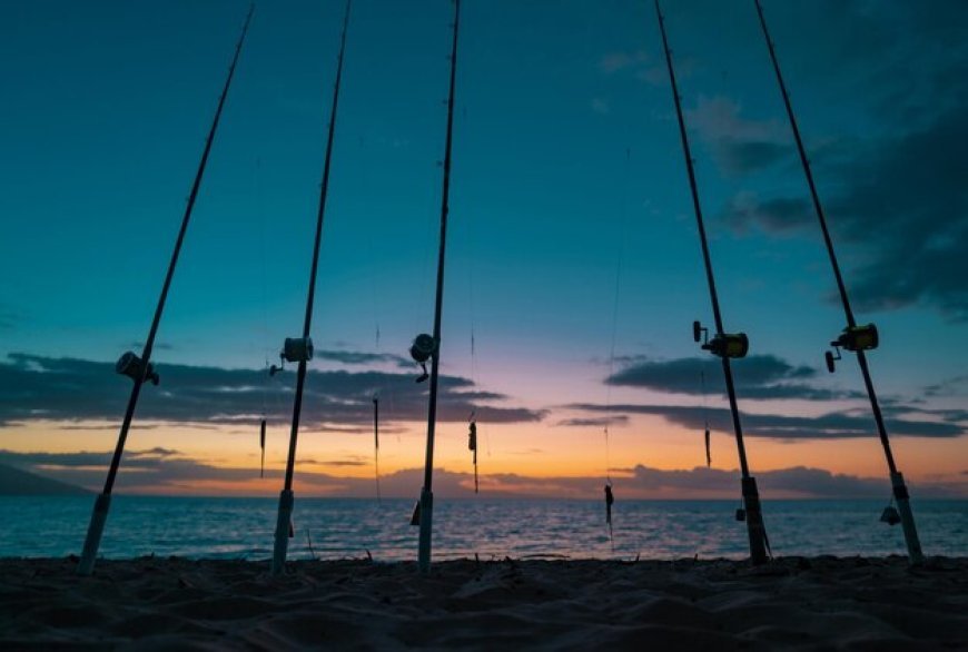 Best Waders for Fishing Recommended to Pair with Sea Fishing Rods