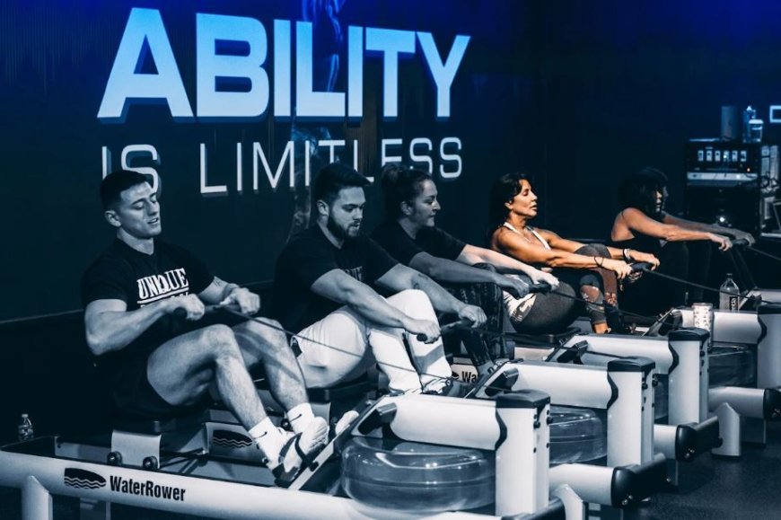 Why Plate Loaded Fitness Equipment Is Worth the Hype
