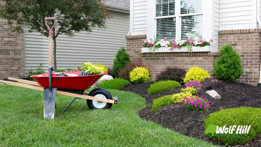 Transform Your Outdoors: The Power of Landscaping in Manassas, VA