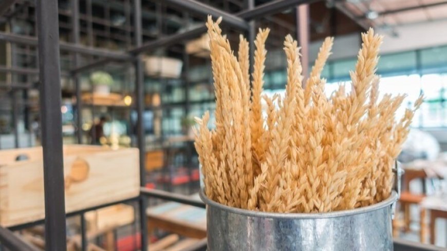 Wheat Straw Based Ethanol Factory Establishment Cost: Detailing Setup Layout and Unit Operation