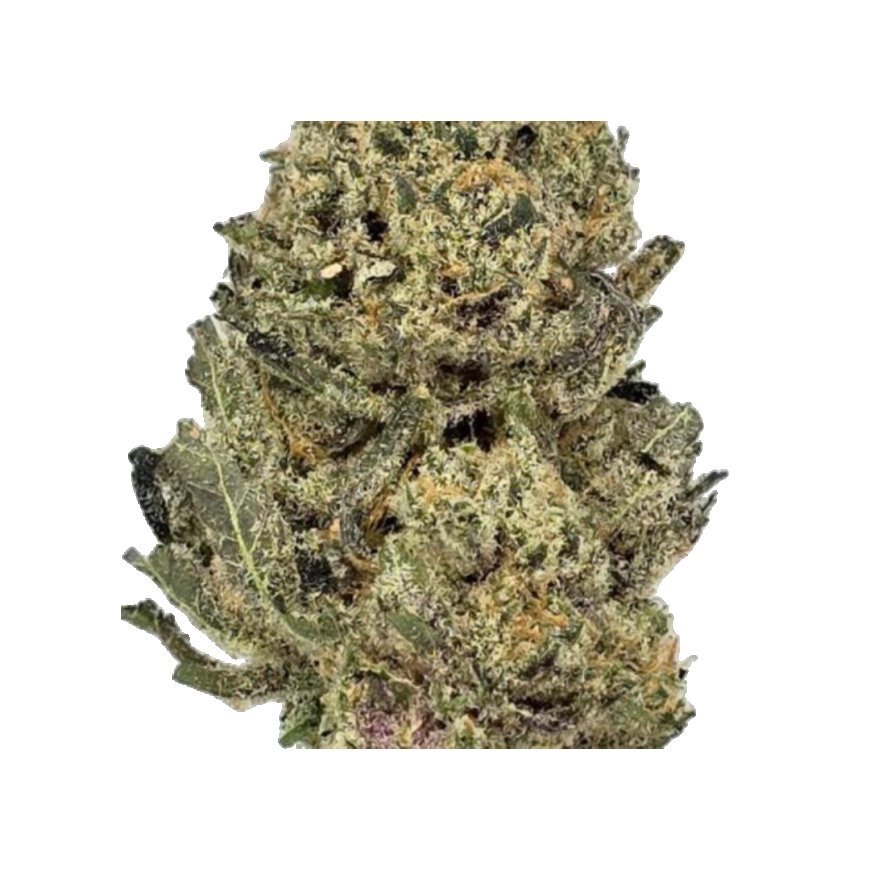 Experience the Sweet Euphoria: Unveiling the Captivating Mango Sherbert Strain