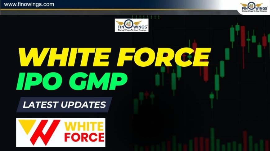 White Force IPO GMP Today | Price Band, Lot Size, Subscription & Listing 2025