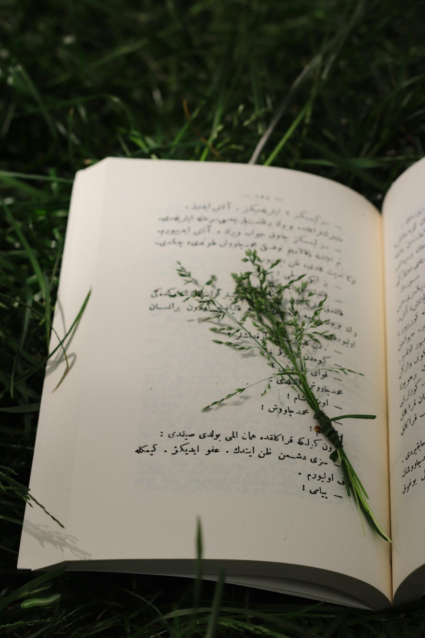 Learn Arabic Language: A Complete Beginner’s Guide to Speaking, Reading, and Thriving in Arabic