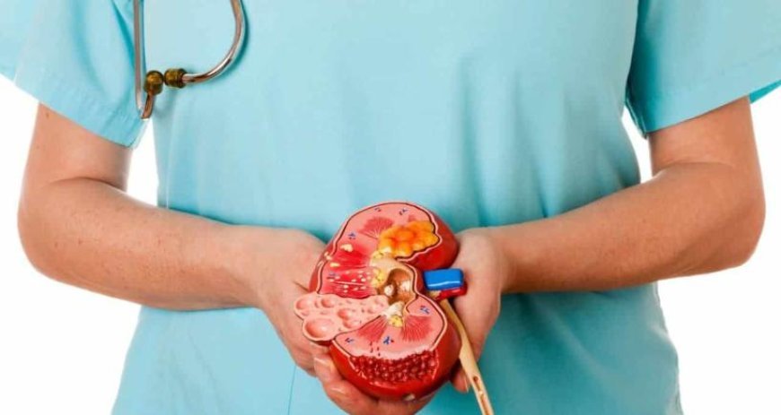 Best Urologists for Kidney Stone Treatment in Jaipur: Meet the Experts