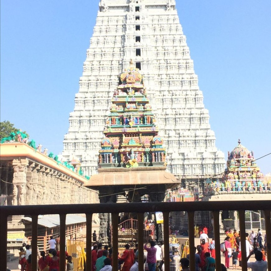 One Day Trip to the Holy Abode of Lord Venkateshwara