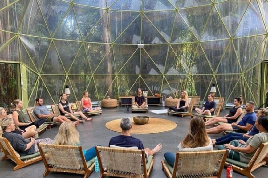 Journey to the Self: Discover Healing at a Psychedelic Retreat in Germany