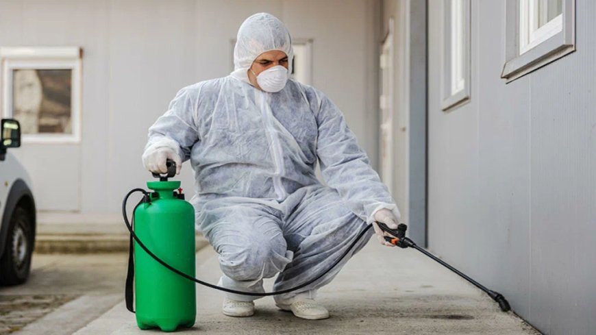 Why Staten Island Residents Are Prioritizing Pest Protection in 2025