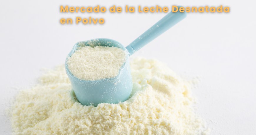 Panorama del mercado de la leche desnatada en polvo: Crecimiento y tendencias 2025-2034 | IDE