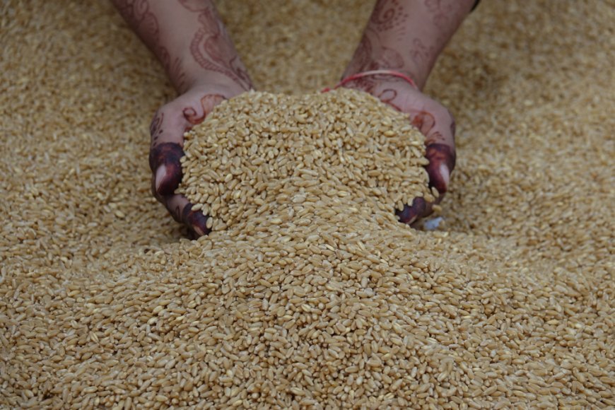India’s Trusted Basmati Rice Manufacturers