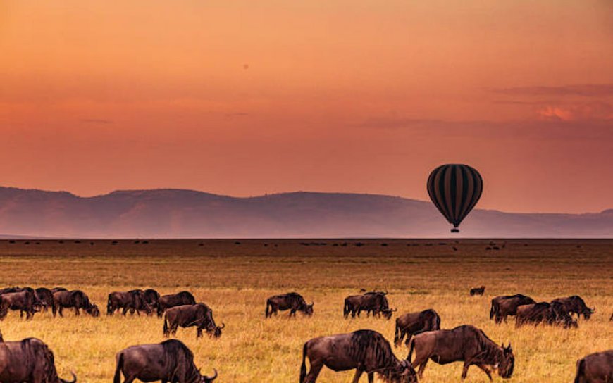 Discovering the Great Rift Valley: A Natural Wonder in Kenya