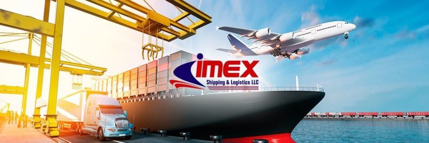 Your Trusted Shipping and Logistics Company in India – Imex Shipping