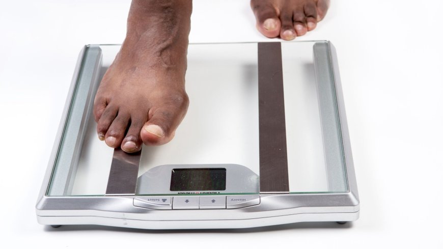 Body Mass Index Calculator – Understanding Your Health Indicator